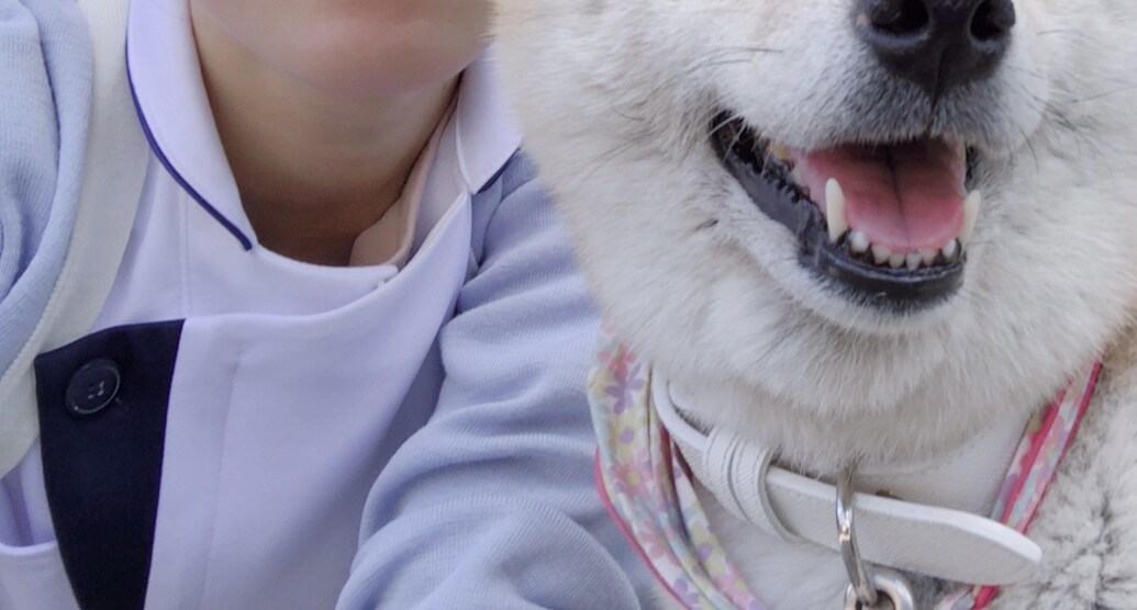 犬・猫の相談や質問に答えます 動物看護師の資格保有者が、犬猫と楽しく暮らすためにお手伝い！ イメージ1