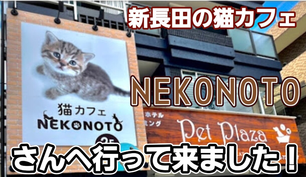 YouTube動画編集します YouTube動画、サムネイルOK! イメージ1