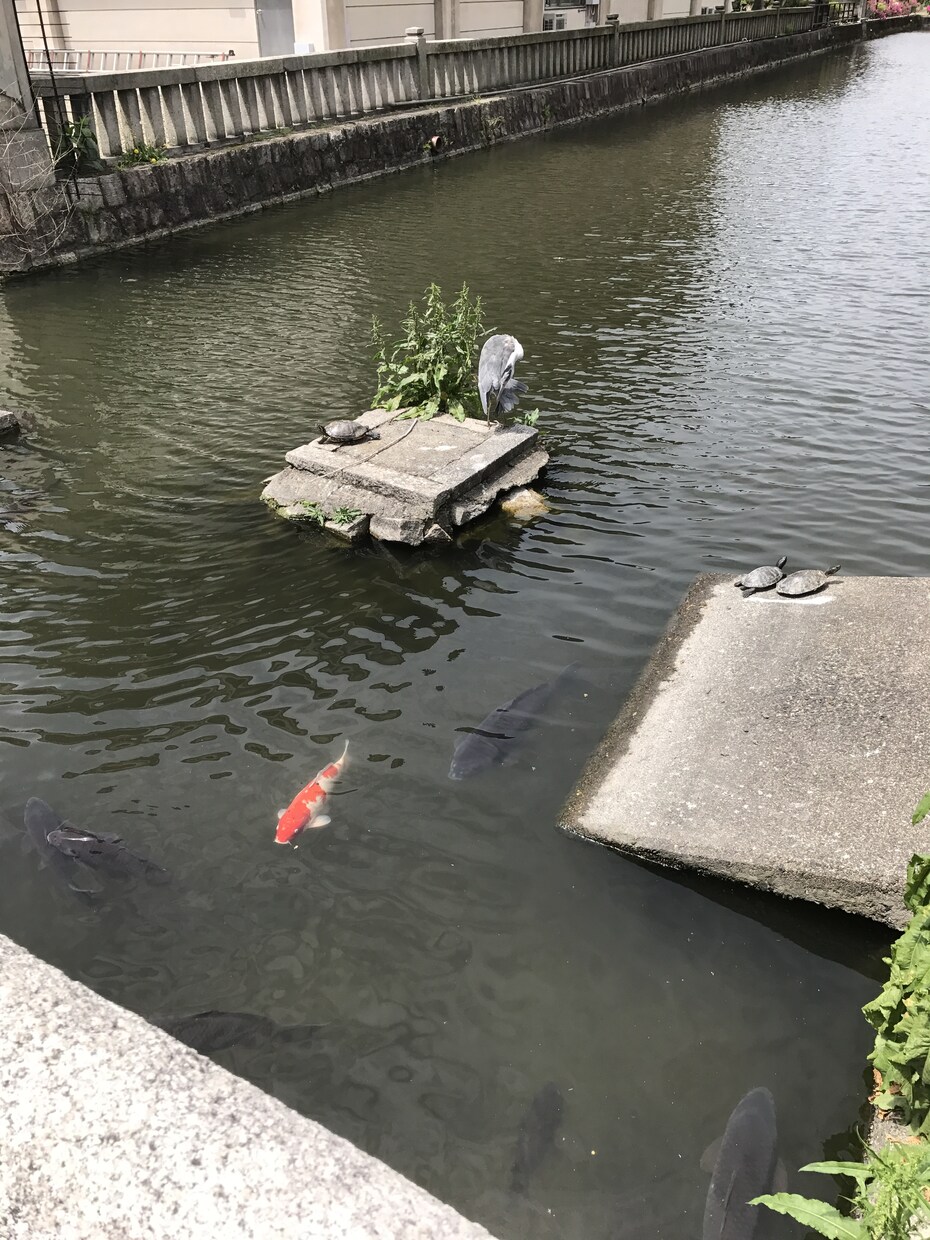 溜まってること発散してみませんか？お話聞きます 吐き出す相手がいない方へお聞きします。 イメージ1