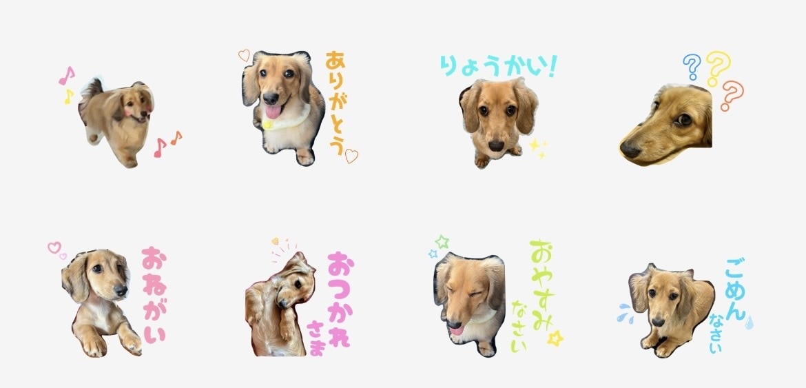 LINEスタンプ作成します 愛犬や愛猫、お子さん等、お写真を使用したLINEスタンプ⭐︎ イメージ4