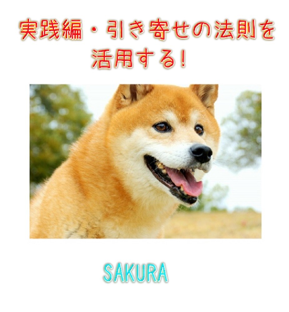 実践編・引き寄せの法則を活用する！ イメージ1