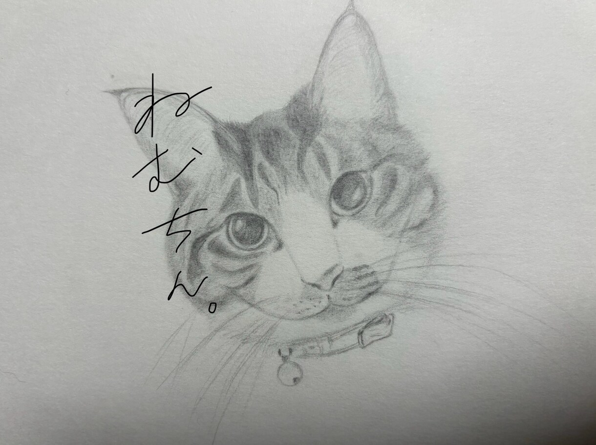 鉛筆で動物の似顔絵を描きます 写真を元に丁寧に模写させていただきます。 イメージ1