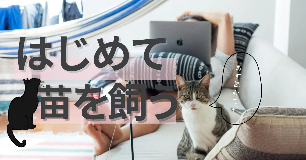 広告バナーやアイキャッチ画像を作成します 丁寧に仕上げていただきますのでよろしくお願いします。 イメージ2