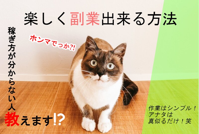 巷で人気のコピペ系商材ネタを先着5名に大暴露します コピペ作業系はこうやって稼ぎます！ イメージ1