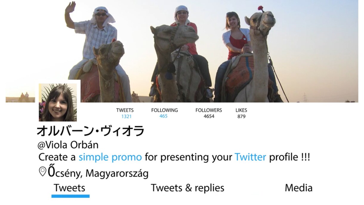 期間割引！！ツイッター風の結婚式動画作ります 5月６日までの期間限定割引してます！国際カップルにぴったり イメージ1