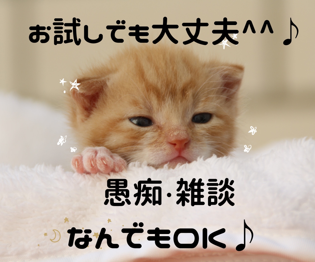 癒しと笑いを✨お酒に添えて✨お話楽しくお聴きします お疲れさま❗雑談/愚痴/何でもOK✅明日の活力お届けします❗ イメージ3