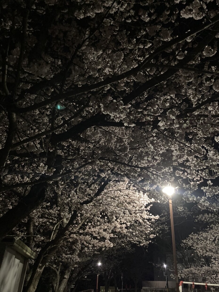 借金ニートの僕がなんでもお話聞きます 借金ニートなんで僕よりはと思って下さい！ イメージ1