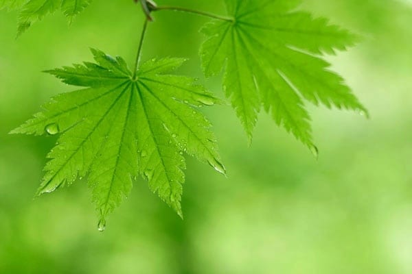 １分でも大丈夫☆あなたの心を優しく癒やします お試しOK♪雑談から愚痴、お悩みまで、なんでも♬.*ﾟ イメージ2