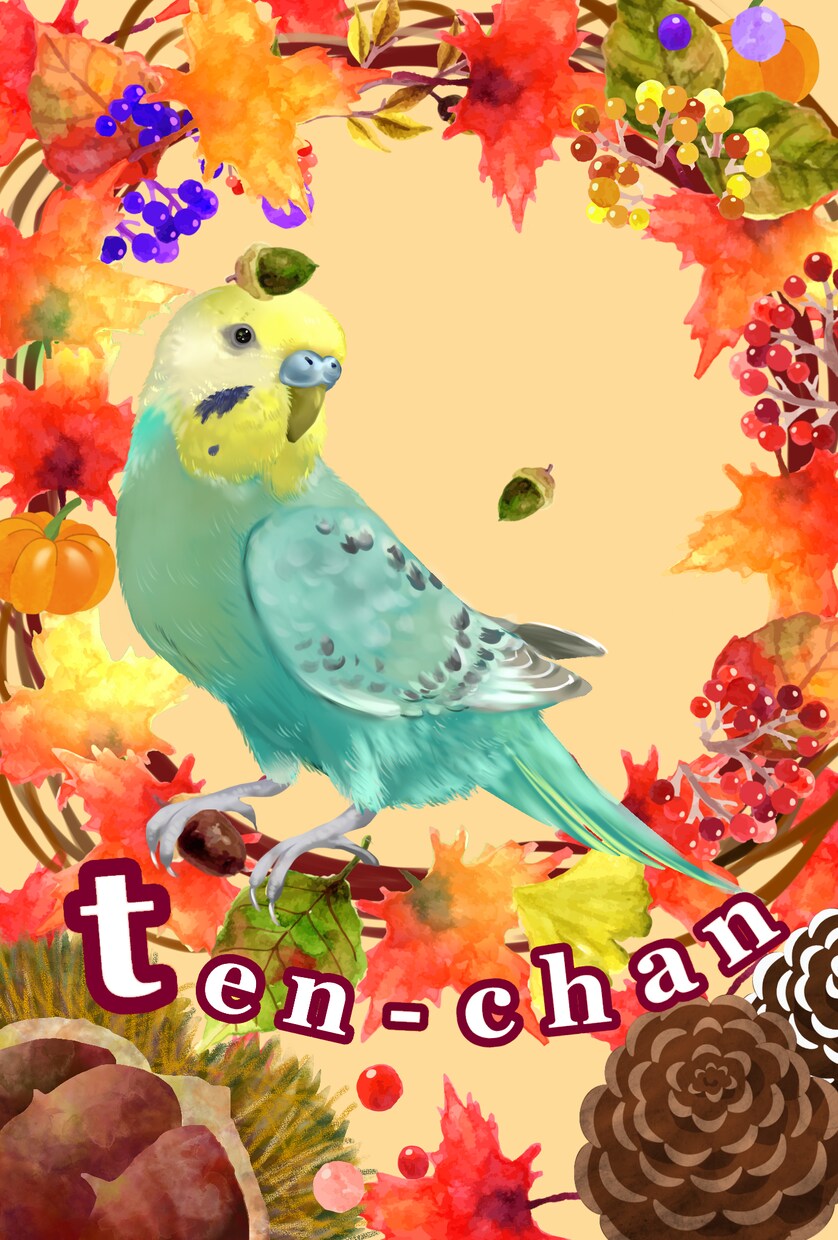 大事な小鳥さんお描きます 鳥が好きなあなたへ。可愛いからかっこいいまで全てお描きします イメージ3