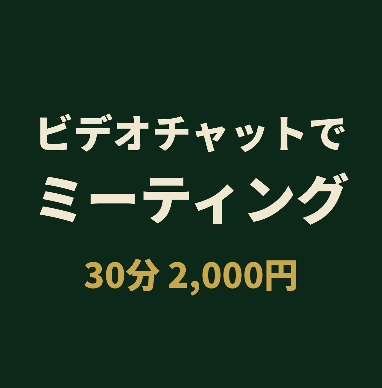 ビデオチャットで作業内容をすり合わせします 別出品サービスご購入前後のすり合わせ用 2,000円/30分 イメージ1
