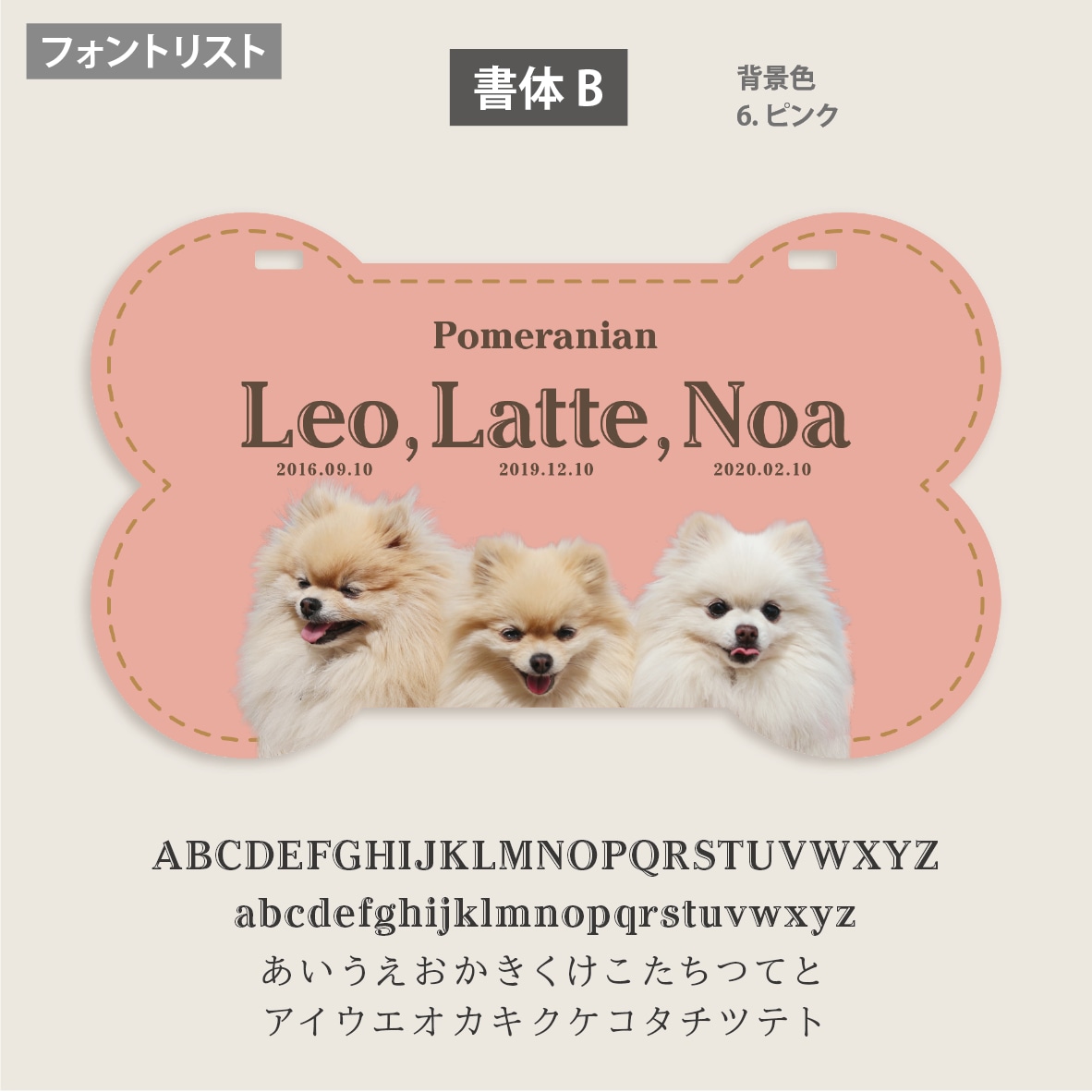 多頭ペット用カートプレート写真入ほね型で作ります イベントが楽しくなる！デザイナーの高品質セミオーダー送料込 イメージ7