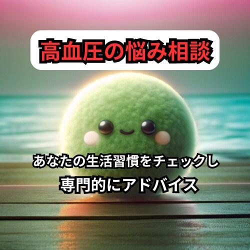 高血圧の改善　あなたの身体に合った方法を教えます 健康状態をアセスメントし、医療従事者が専門的なアドバイス イメージ1