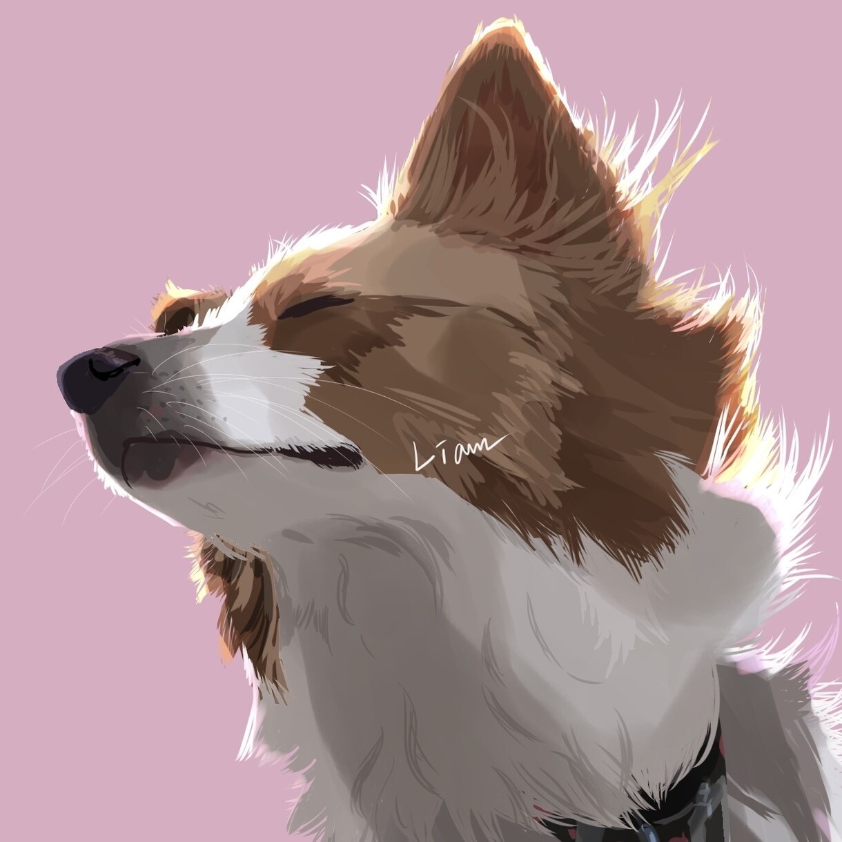パソコンやスマホの壁紙などに！愛犬イラスト描きます コントラストがある、太陽を浴びたような明るい絵が特徴的です。 イメージ1