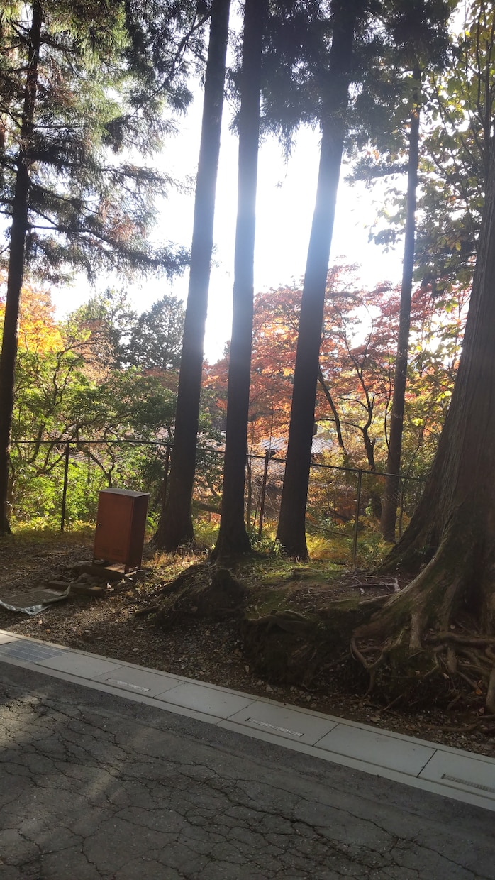 モヤモヤする相手の気持ち、占います 今、苦しい貴方のために、恋愛いろいろ受け付けます。 イメージ4