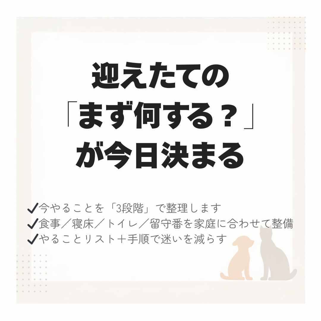 犬猫の悩みを獣医師が解決します やることを優先順で整理→手順とチェックリストで納品（PDF） イメージ1