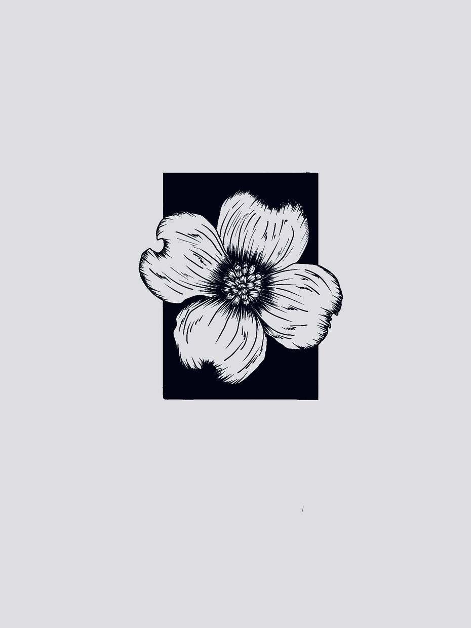 花をテーマにした繊細な絵を作ります 日常にそっと彩りを添える、花のアート イメージ3