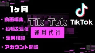 Tik Tok 丸投げで運用代行します 1ヶ月間丸投げでTikTokの運用代行をお任せください！ イメージ1