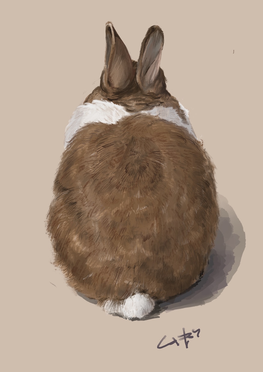 大切なペットの似顔絵を描きます 愛する家族の絵を手元に残しておきませんか？ イメージ2