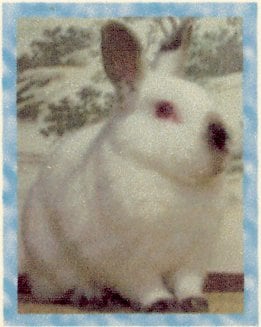 ペットのお話を聞かせて頂いてます うわさ話や自慢話など、気軽にお話下さい。 イメージ2