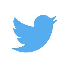 Twitter(X)の日本人フォロワー増加します Twitter(X)の日本人、韓国人フォロワー100人増加！ イメージ1