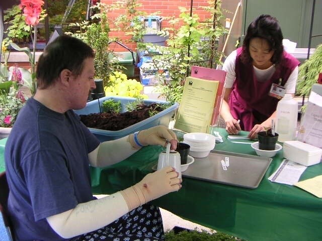 園芸療法って何？認定園芸療法士がサクっと教えます 植物を使って人を癒す園芸療法。身近な草花で出来ちゃいます♪ イメージ4