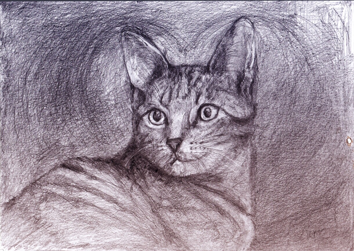 温かみのある鉛筆画でペットさんの絵をお届けします いろいろな動物描けます！記念やプレゼント用に イメージ10