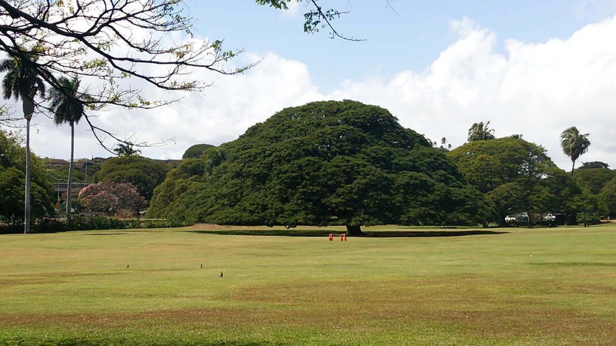 初回限定！あなたの気になること占います 初めての方にオススメ！気になることを1つ、占います。 イメージ1