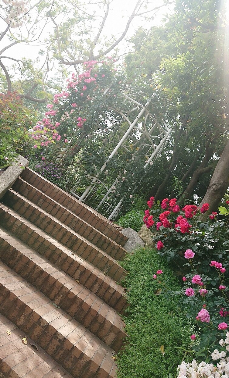 あなたのどんなお話も寄り添ってききます 2人でいろんな話をしませんか？ イメージ3