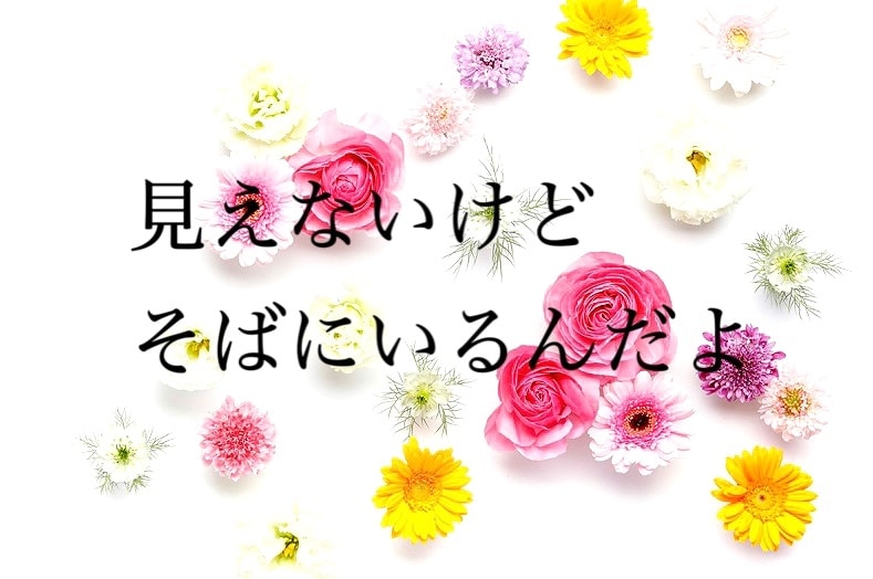 電話相談☎️愛する人との死別…お話、お聞きします あの人に逢いたい、ただそれだけ…同じ境遇だから分かり合える事 イメージ3