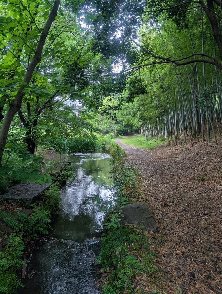 あなたに伝えたいことばがあります 母親の役割に囚われていませんか？あなたの悩みに寄り添います イメージ8