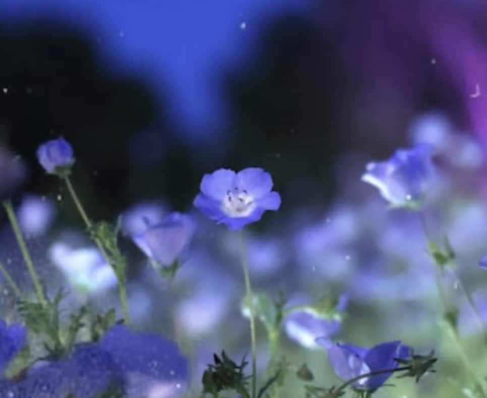 魂の願いを叶える縁結び祈祷✧2人の未来を繋ぎます 末長く続くご縁を結ぶ✧神秘の祈祷エネルギーセッション！ イメージ2