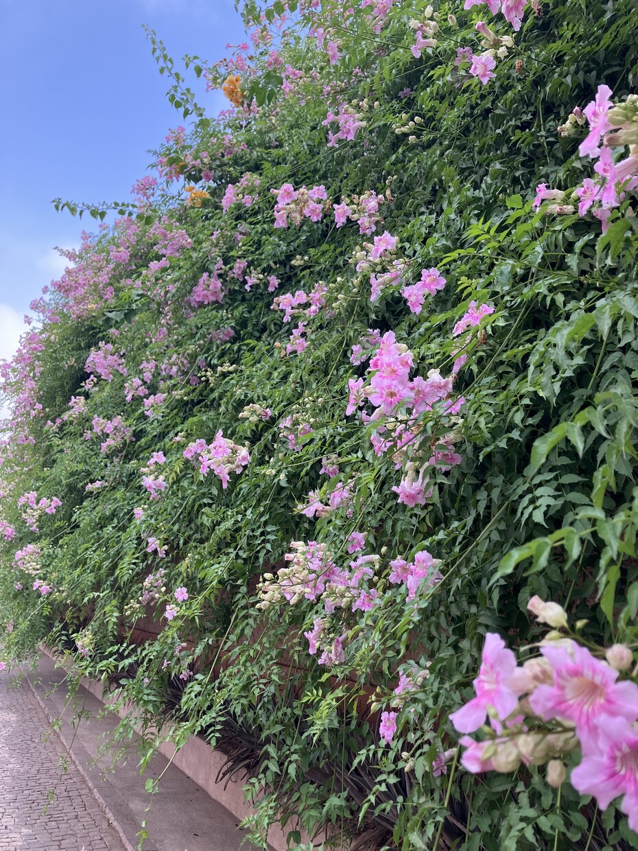 モロッコの迷いやすい移動や治安まとめて相談できます 初モロッコでも、無理のない旅程に！ イメージ10