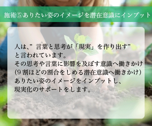 人生を困難にする原因のインナーチャイルドを癒します 幼少期のトラウマや毒親克服、前進を妨げる過去を解消 イメージ8