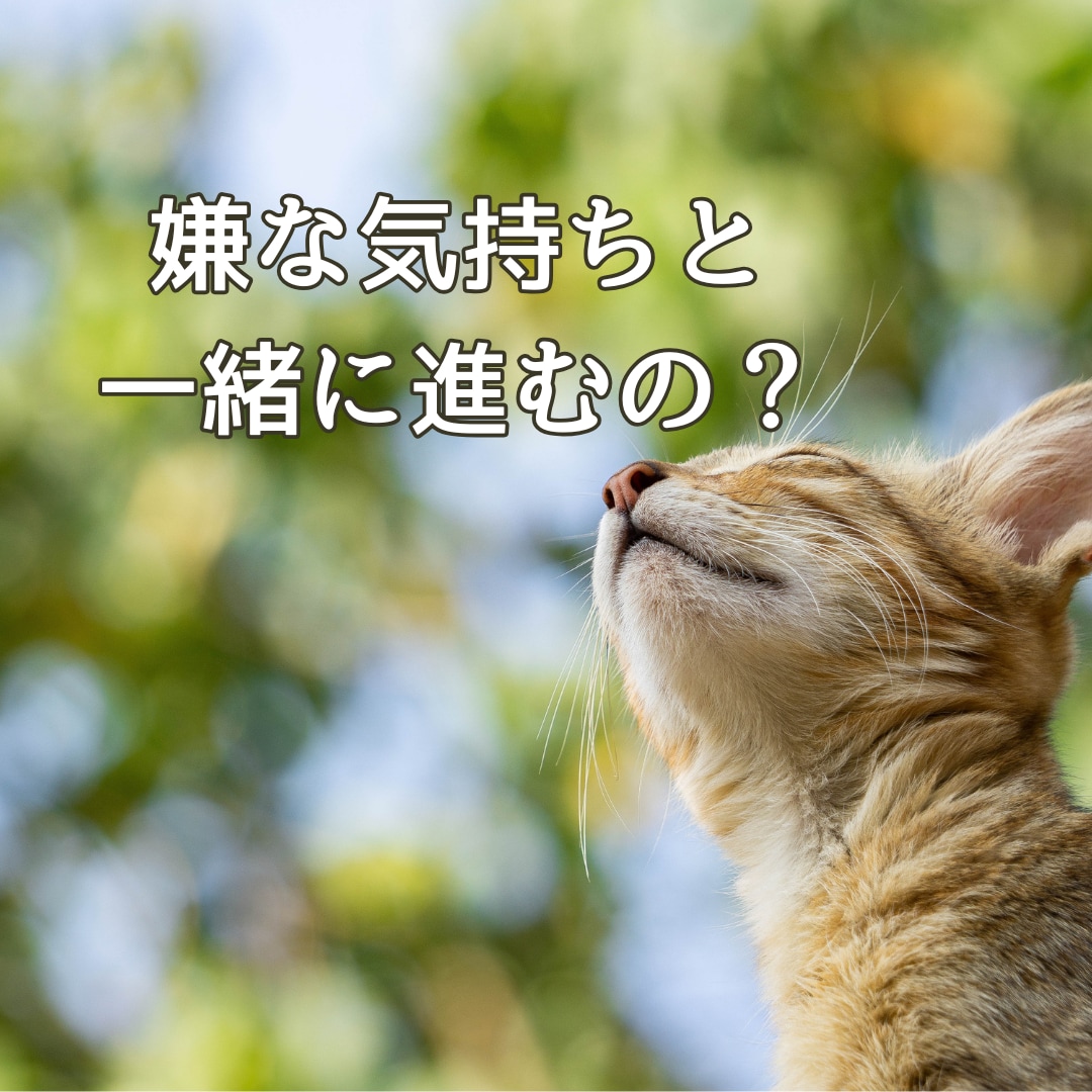 答えが欲しい方⭐手放すもの必要なものを伝えます 具体的な悩みに！迷いを手放し心地よい日常を過ごす道案内 イメージ2