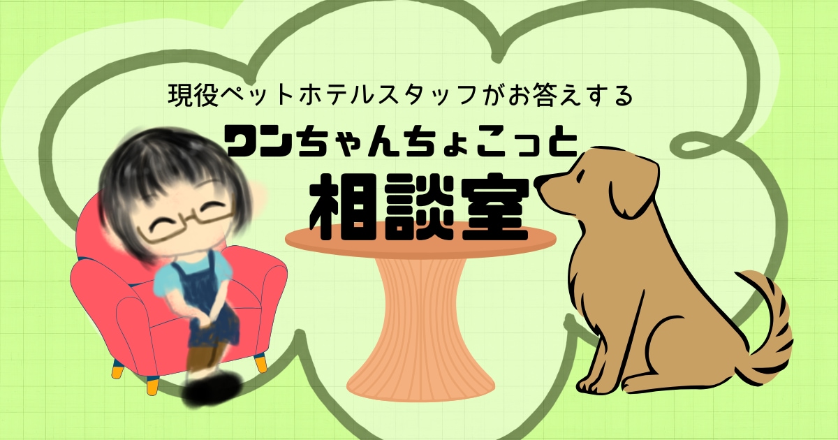 わんちゃんとの生活のお悩みの相談にのります 現役ペットホテルスタッフと話しませんか？ イメージ1