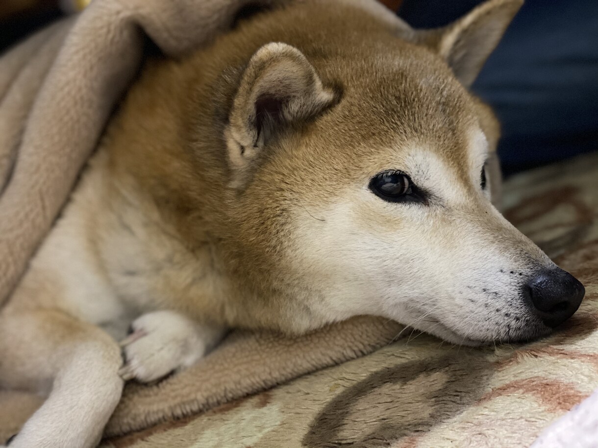 あなたのお悩み、日頃思ってることを聞きます 話し相手くらいの気軽な感じで。 イメージ1