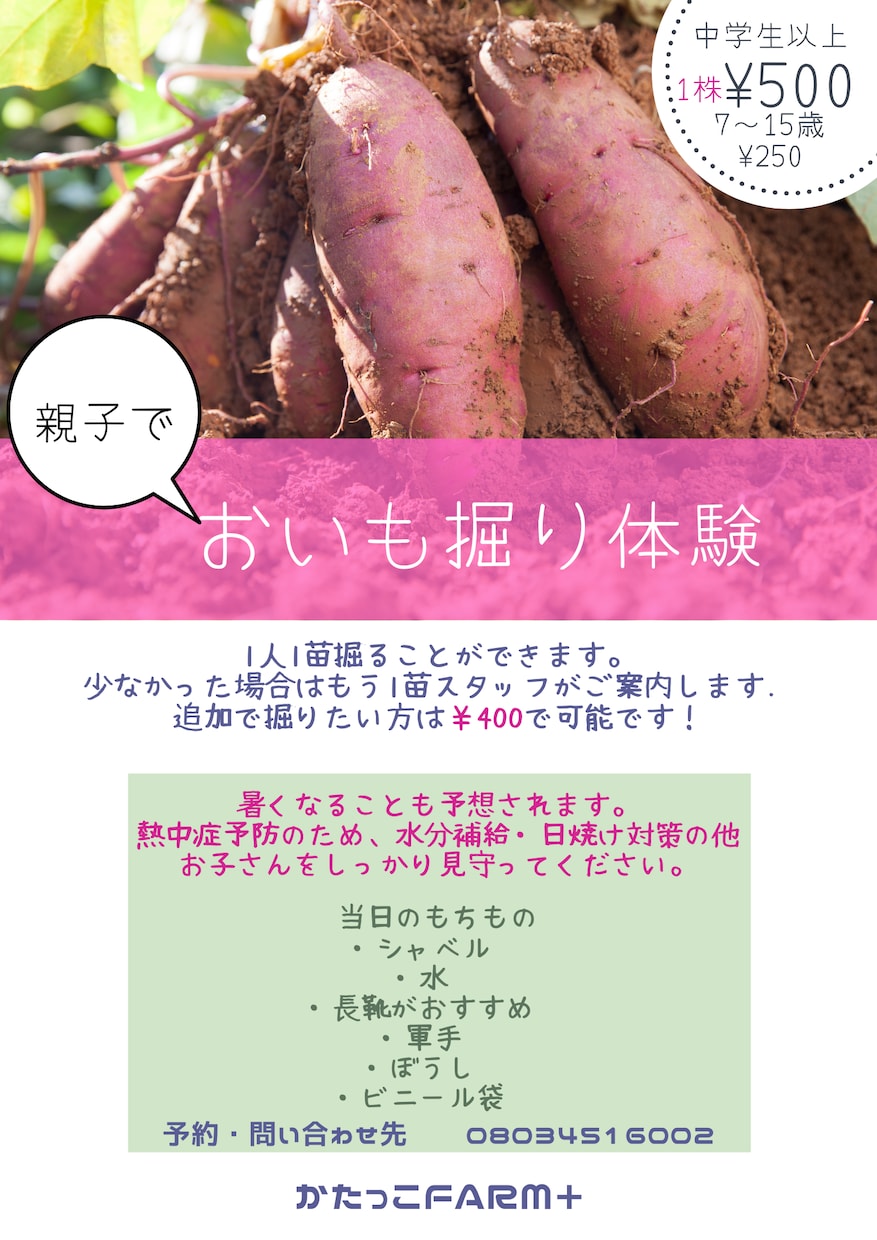 ポスター、フライヤー制作します イベントチラシ作成やお店の紹介フライヤーなど作成 イメージ6