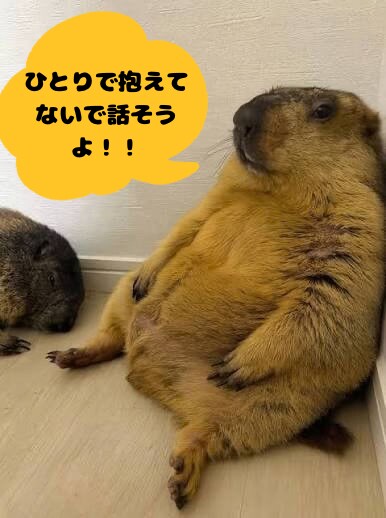 いつでもあなたの話を聴きまます 昼休みの10分でも、夜の不安でもOKです。 イメージ1