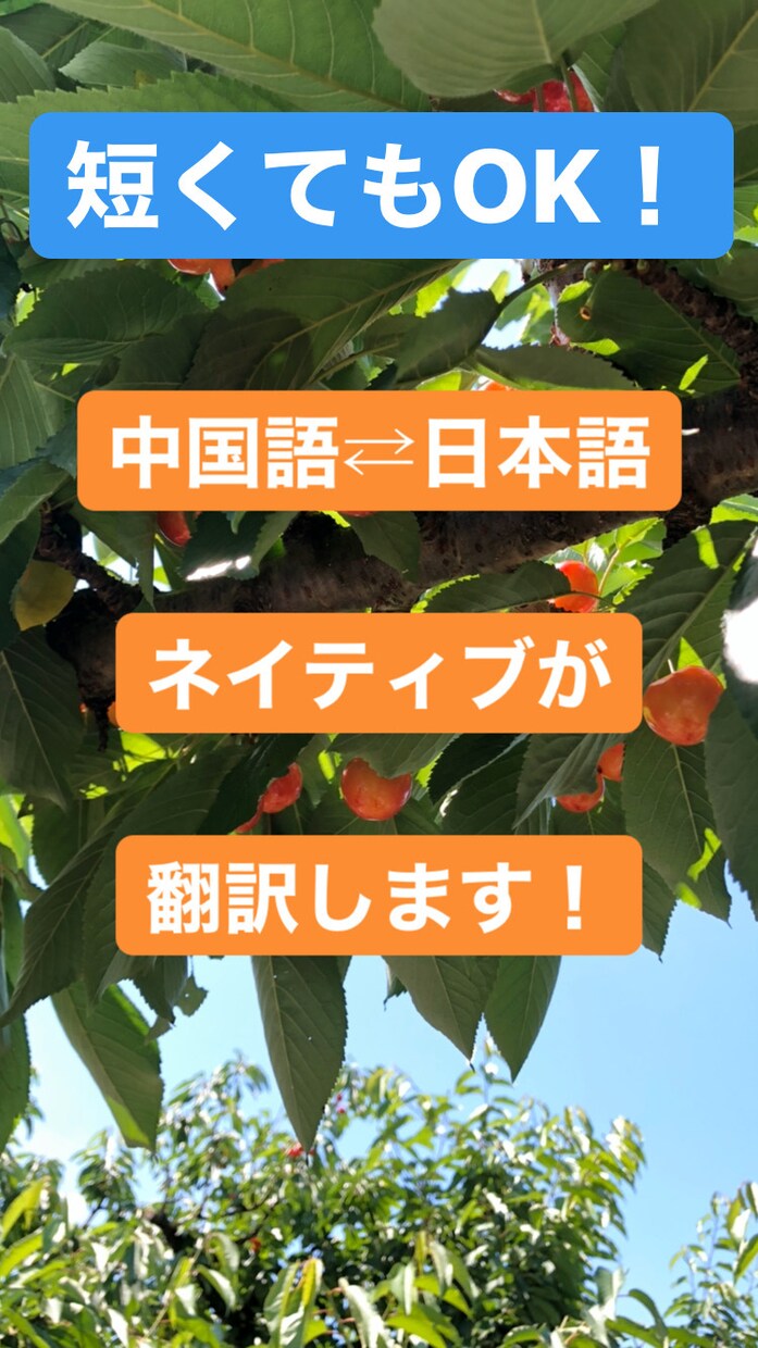 格安で中国語⇄日本語翻訳します 日本と中国のネイティブである私が翻訳いたします！ イメージ1