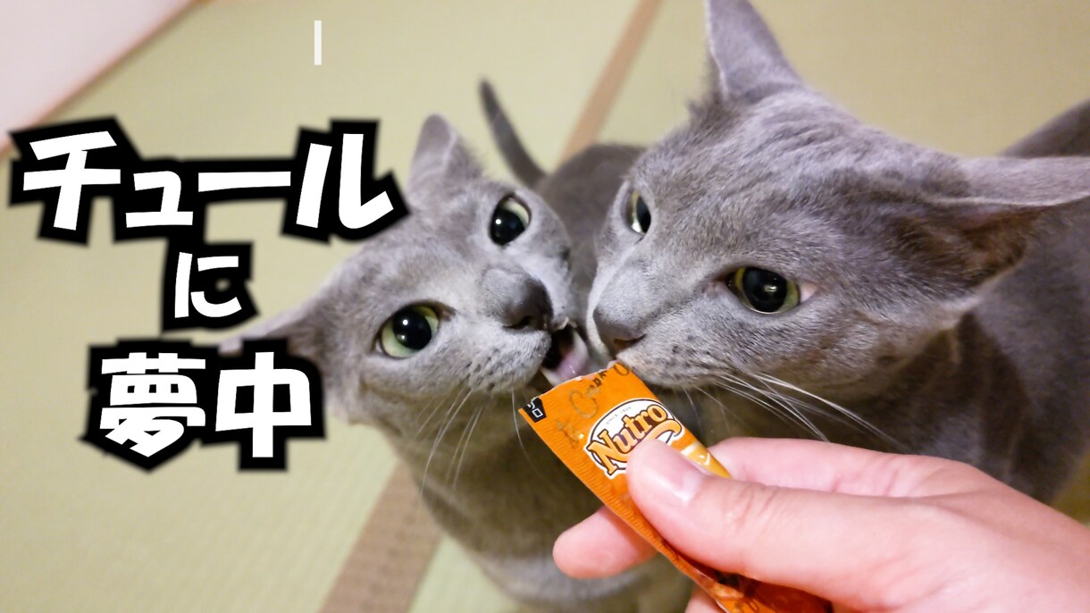 動画カット編集即日納品から対応致します できるだけ早く納品して欲しい方 イメージ2