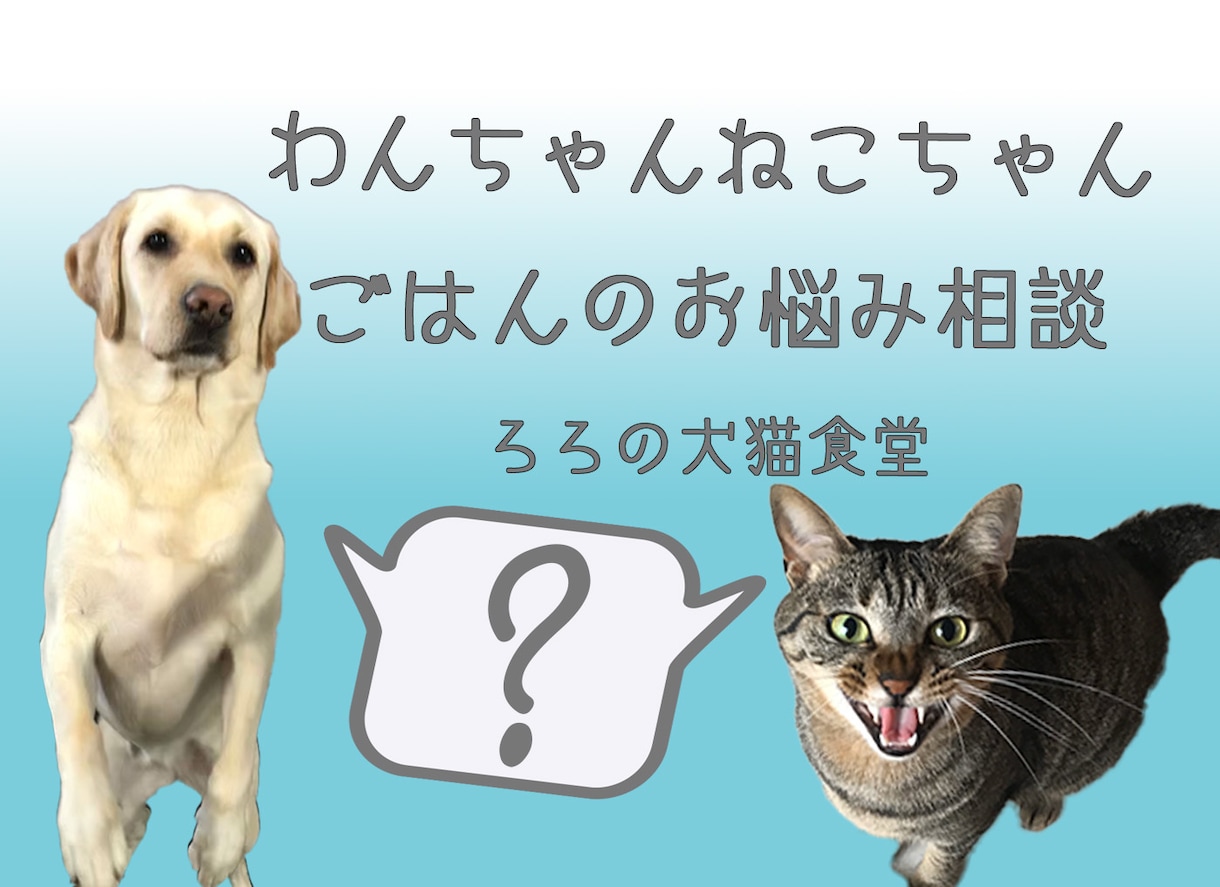 わんちゃんねこちゃんのごはんの相談を受け付けます 獣医師兼ペット栄養管理士にごはんのお悩みをご相談ください イメージ1
