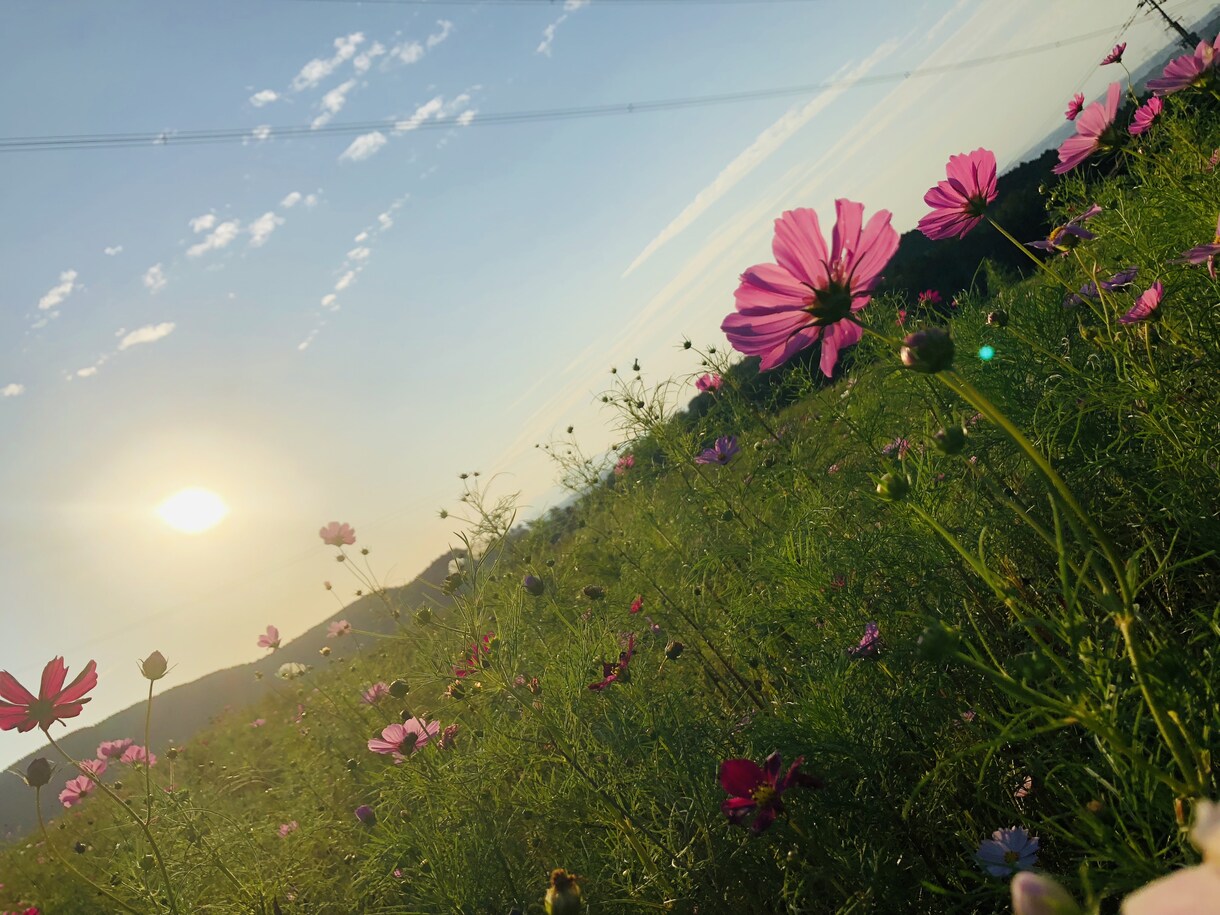 眠れない、あなたのお話し聞きます 眠れない、話を聞いて欲しい、元気が欲しい、そんなあなたへ♪ イメージ10