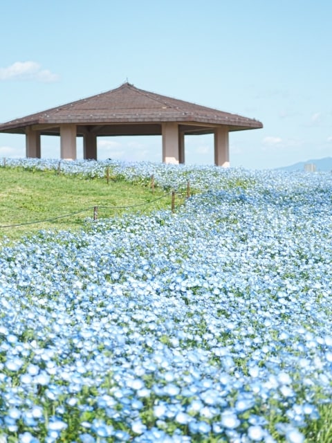 1日間チャットでお話聴かせていただきます どんなお話でも大丈夫です^-^ イメージ1