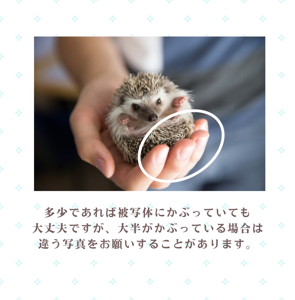愛犬愛猫を優しい水彩画にします 評価★5御礼！！！記念日ギフトやインテリアにオーダーイラスト イメージ8