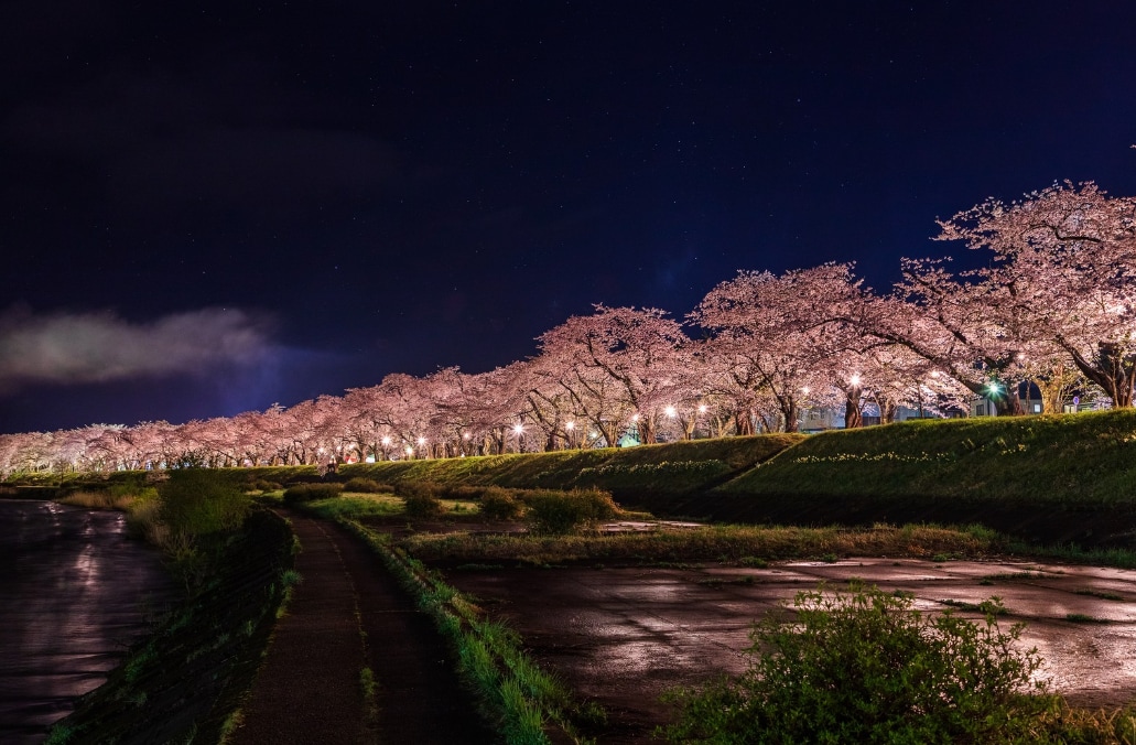 あなたの代わりにご予約致します 24時間365日いつでもokです～＼(^^)／ イメージ4