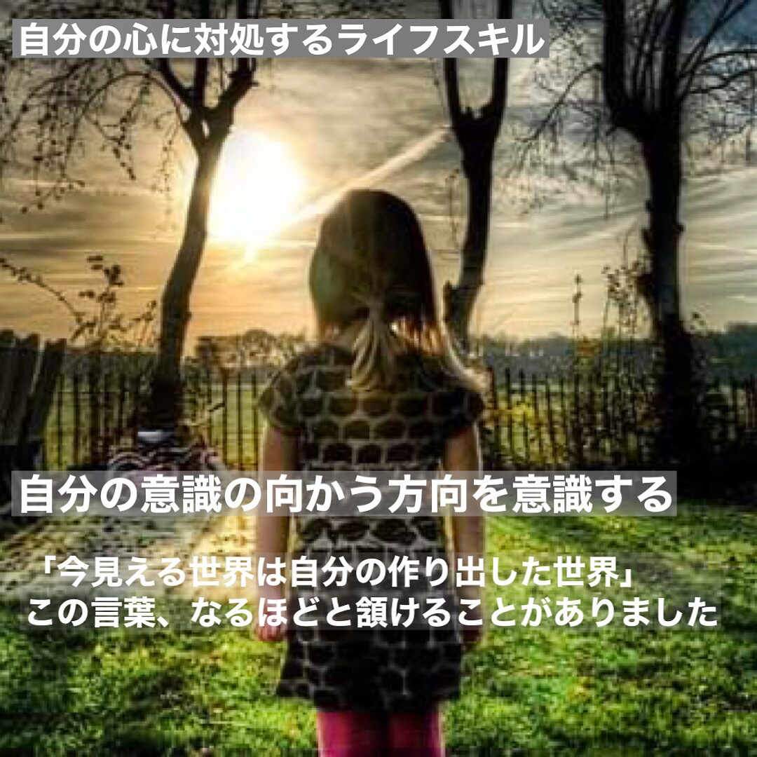 自分の心に対処するライフスキル創ります セミナーで使うワークブックを使ってください イメージ3