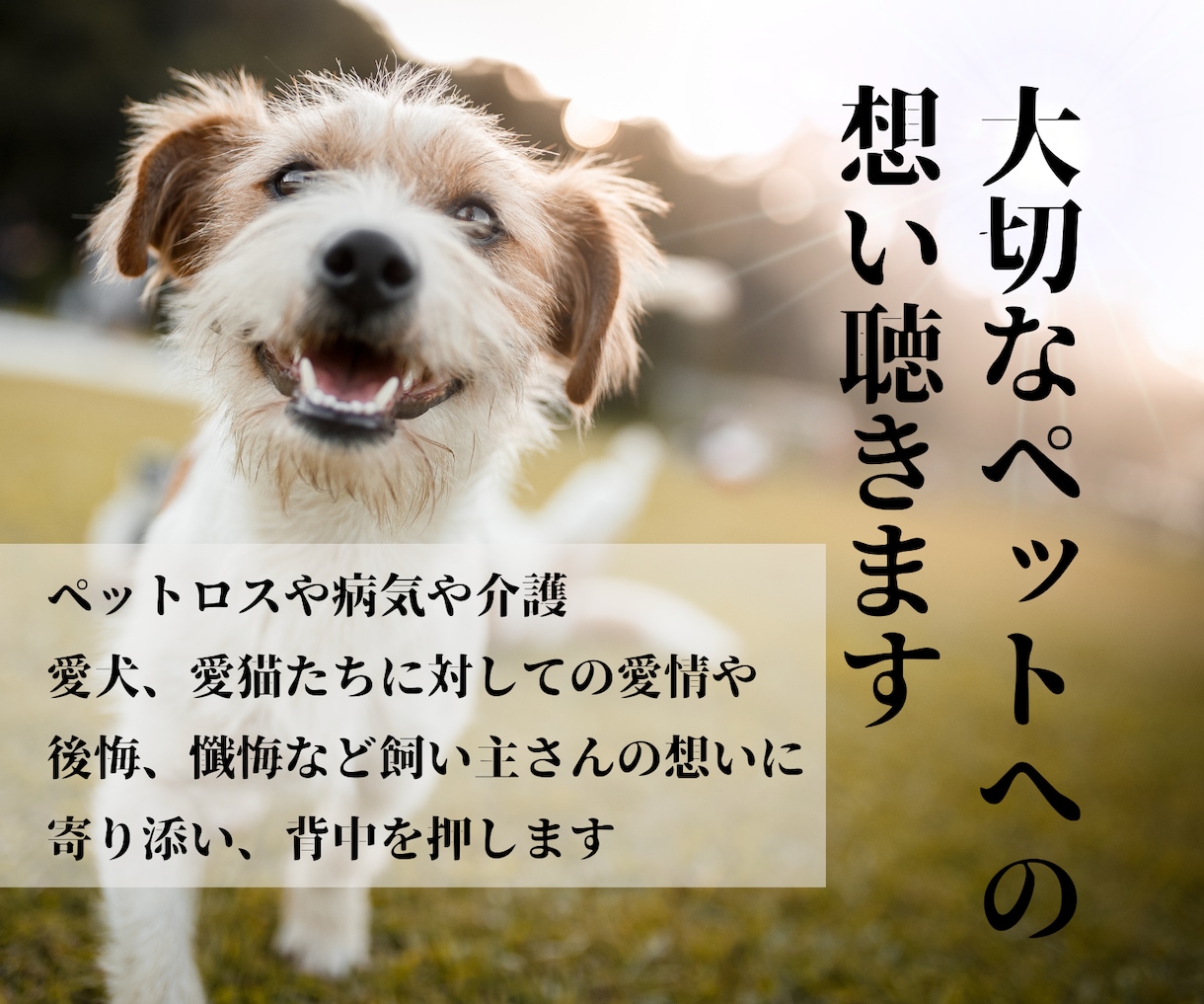 ペットロスの悲しみ・喪失感に100％寄り添います 大切なペットとのお別れに。後悔・つらさ受け止めます イメージ1