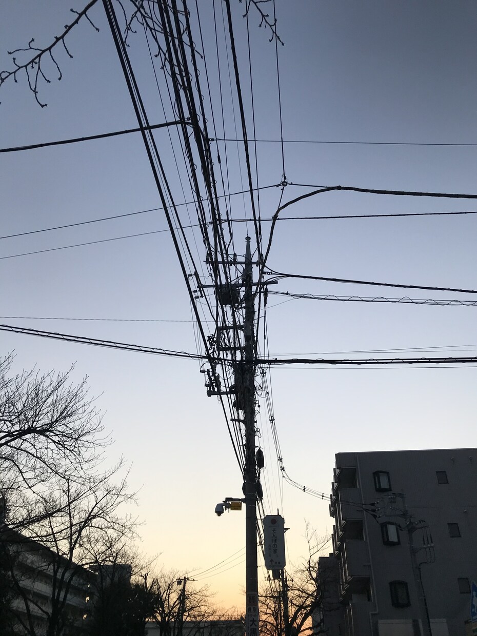 月星座＋生まれ順で強みとほっとする場所だします 事前予約受付中〜居心地いい空間、距離感再確認に。 イメージ6