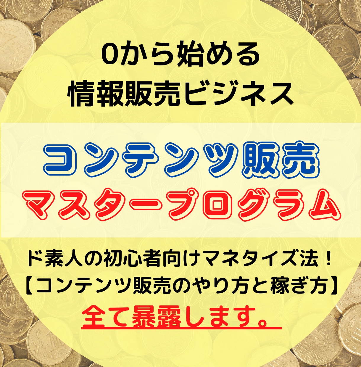 コンテンツ販売ビジネスの全てを暴露します 独自コンテンツで【やり方・稼ぎ方】を徹底サポート!! イメージ1