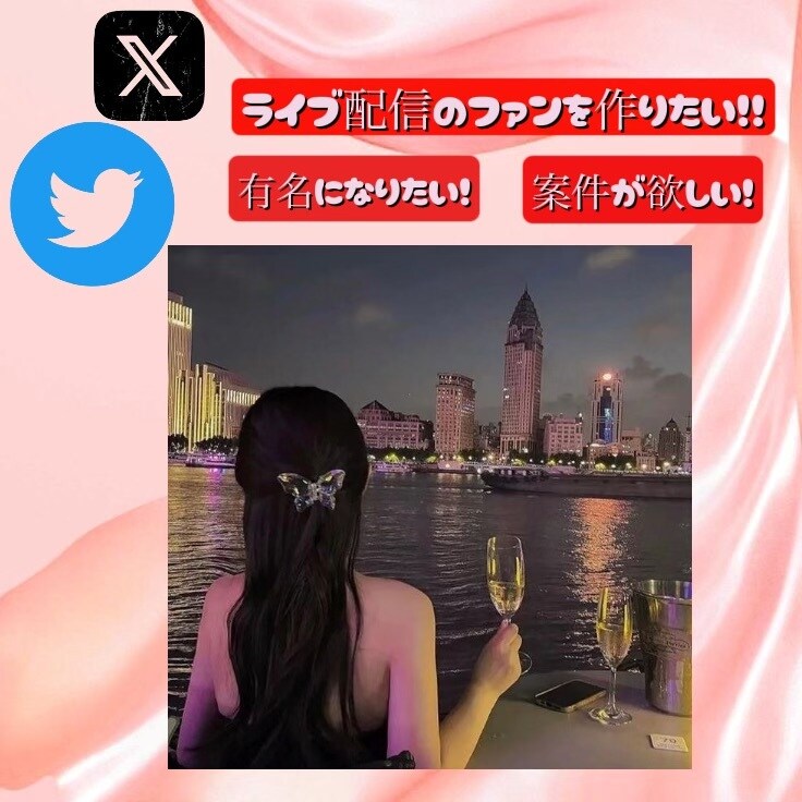 インフルエンサー育成します 【芸能・アイドル志望必見!】インスタのファンを増やします！ イメージ2